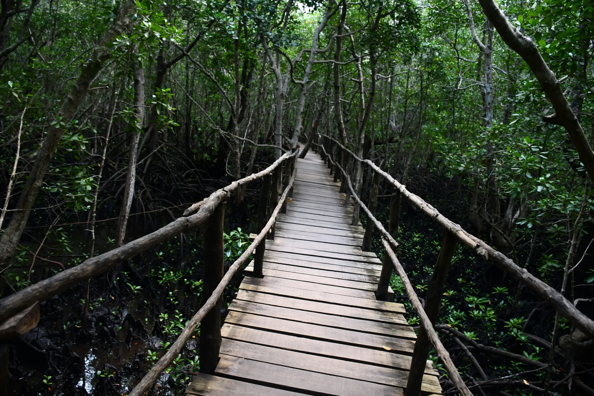 Pemba Boutique Resort, Pemba Island, Tanzania